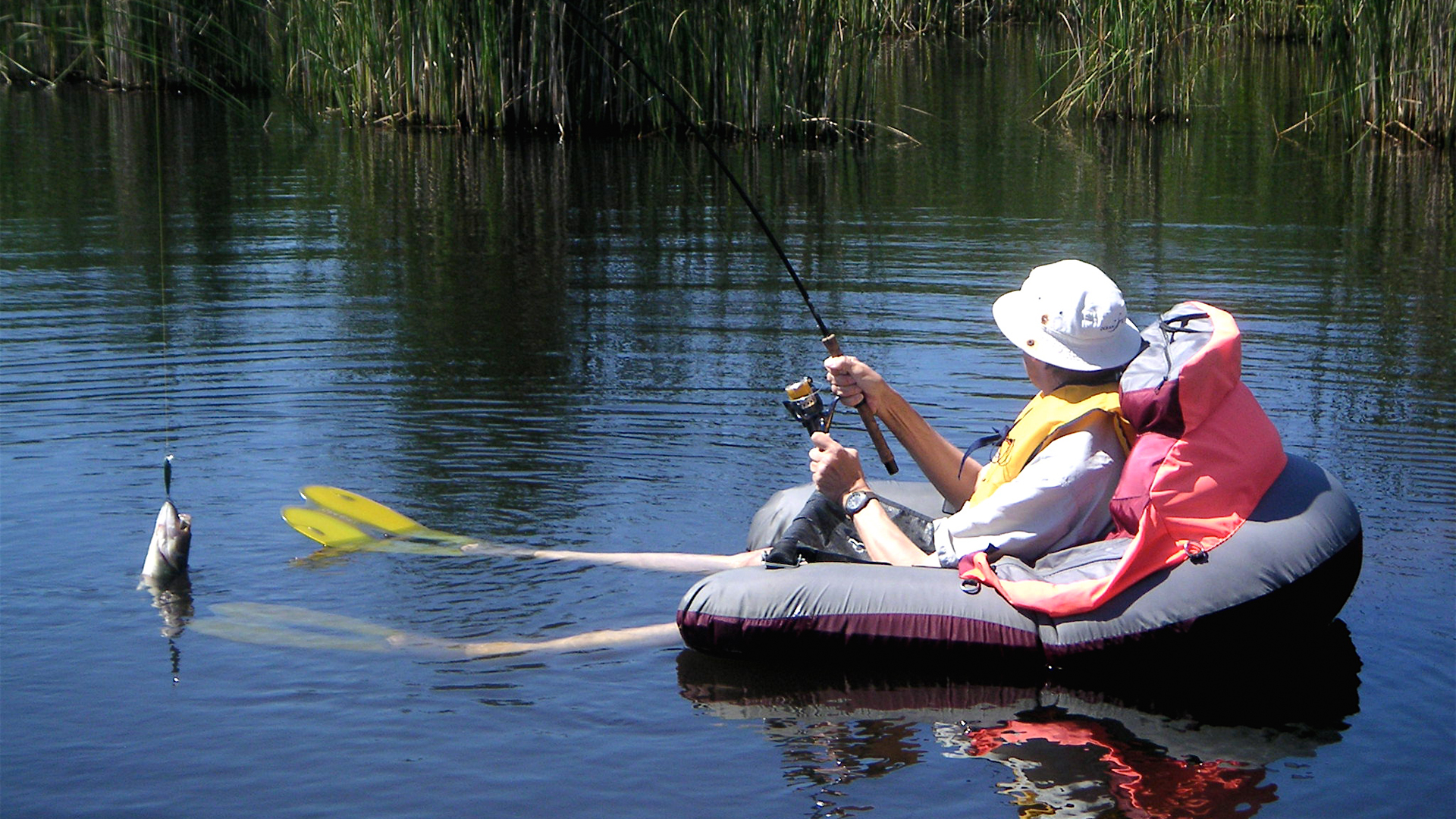 You are currently viewing How To Do Fishing From A Float Tube? | Explore All The Basics