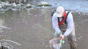 Read more about the article Ways To Carry a Fly Fishing Net | Expert Guide 2024