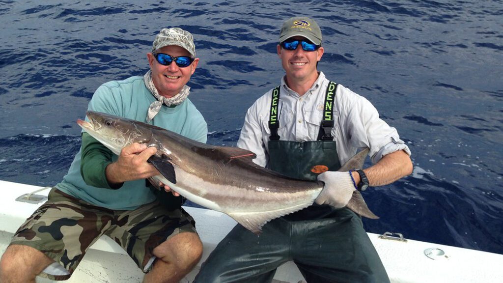 Caught a Cobia in the luckiest fishing village in Florida.