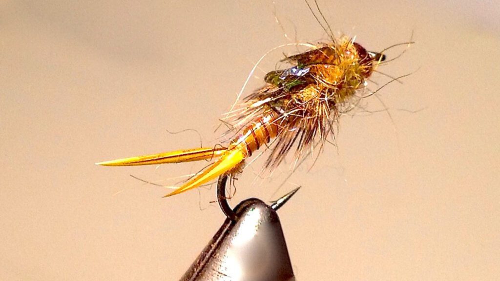 Stonefly for fishing purposes.