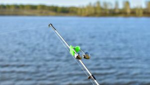 Read more about the article Anatomy Of A Fishing Rod | A Guide On Fishing Rod Components