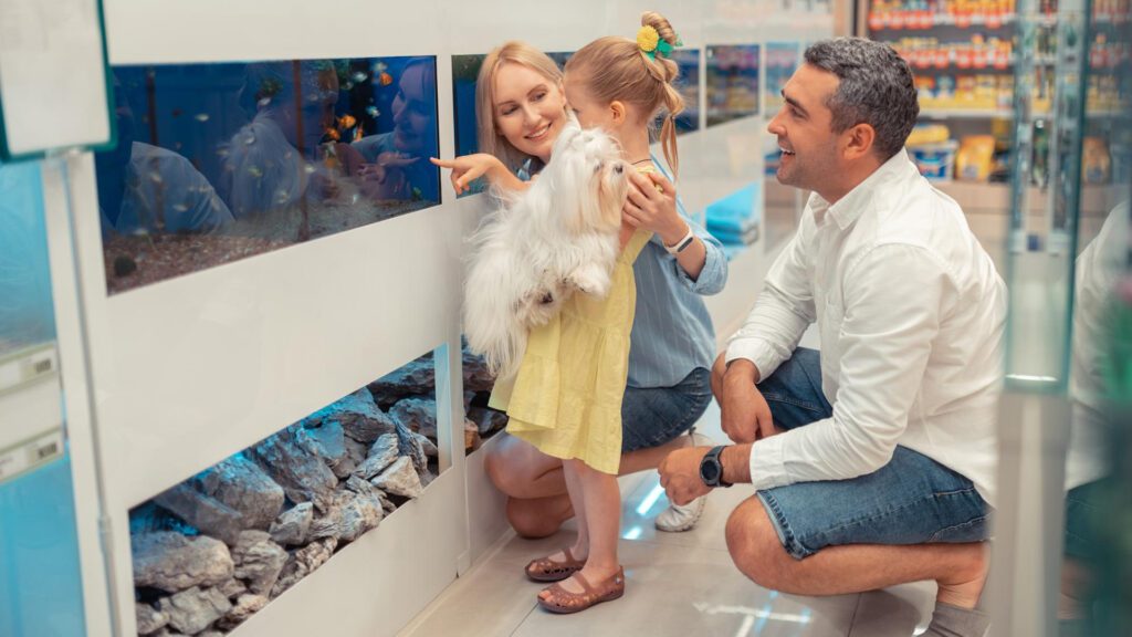 Starting cost of a fish tank.