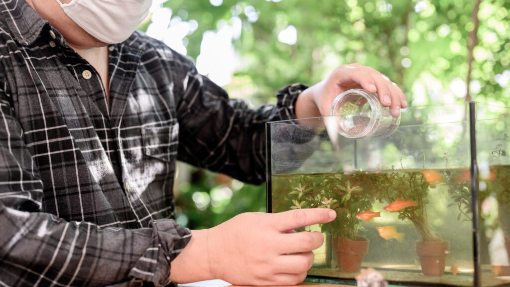 When you start a fish tank take care of your fishes.