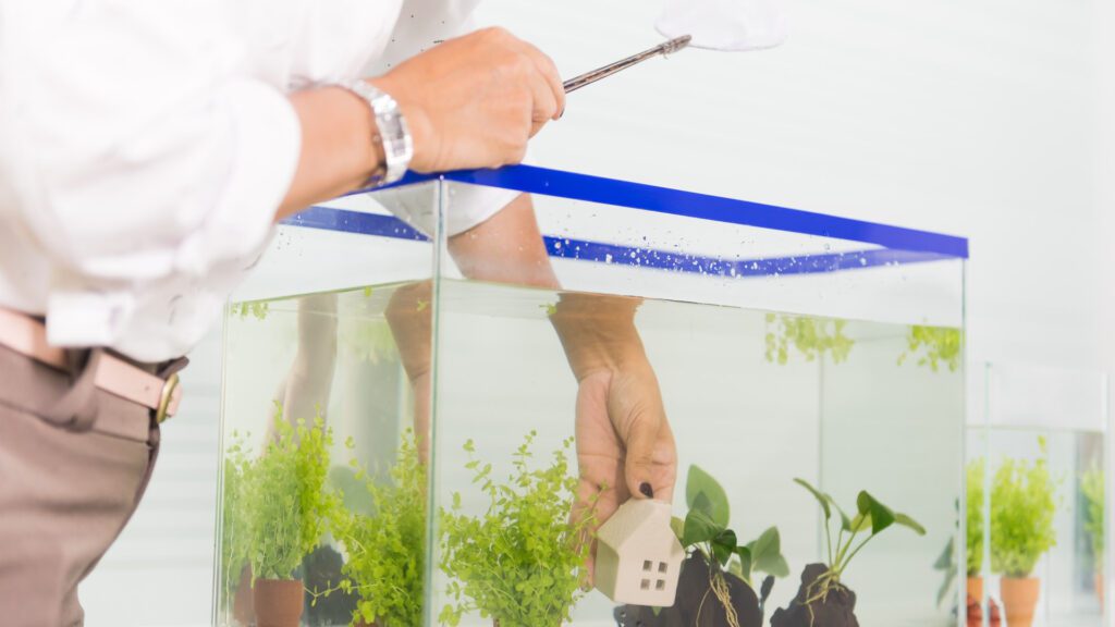 Starting a fish tank with decorations.