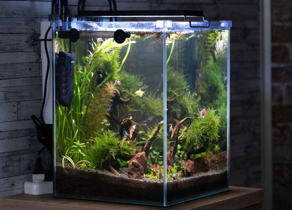 Heater and Thermometer