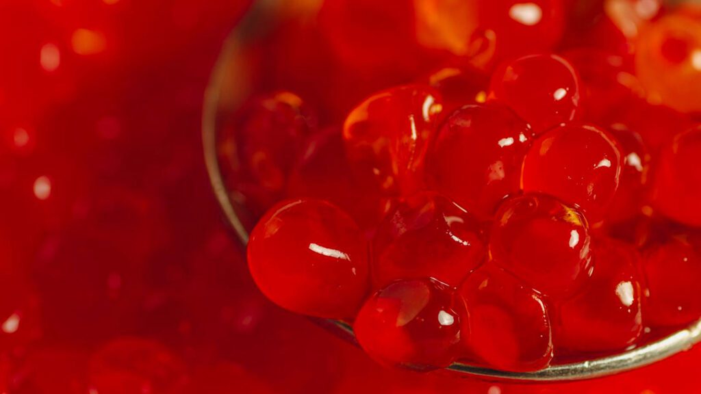 This is about krill oil