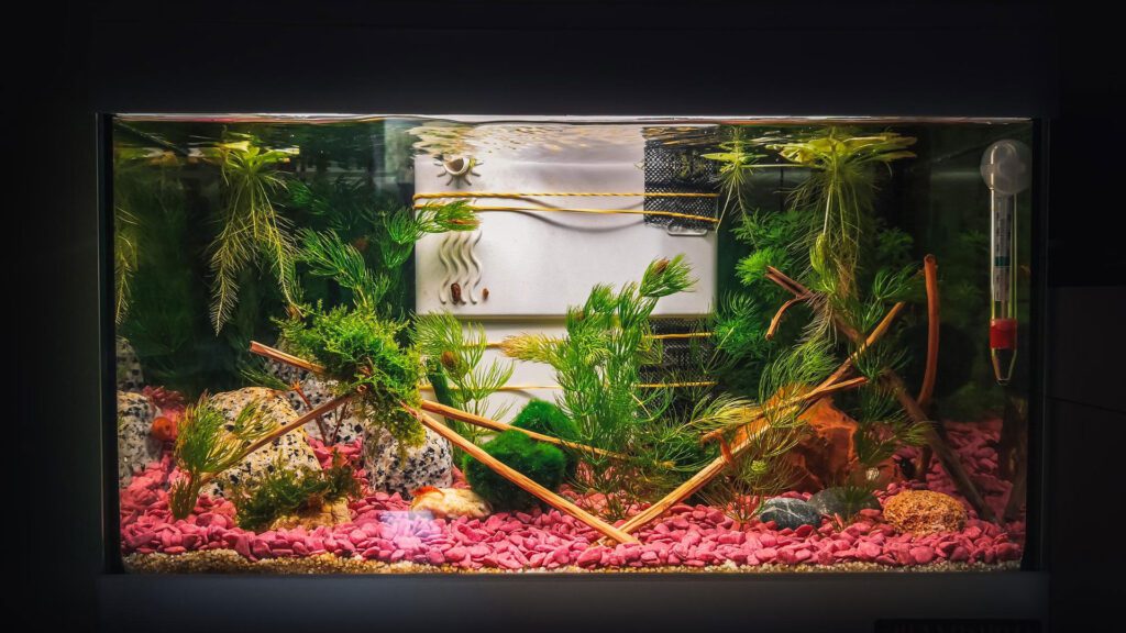 Marina LED Aquarium Kit