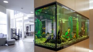Read more about the article What is the New Tank Syndrome? Common New Aquarium Problem