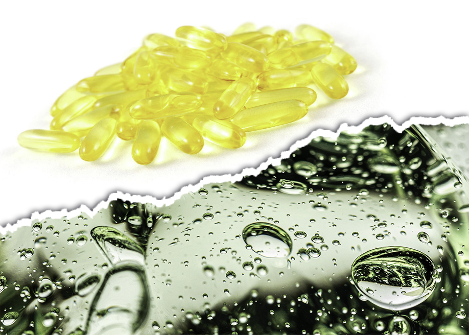 Read more about the article Algae Oil vs Fish Oil | Which Is Better?