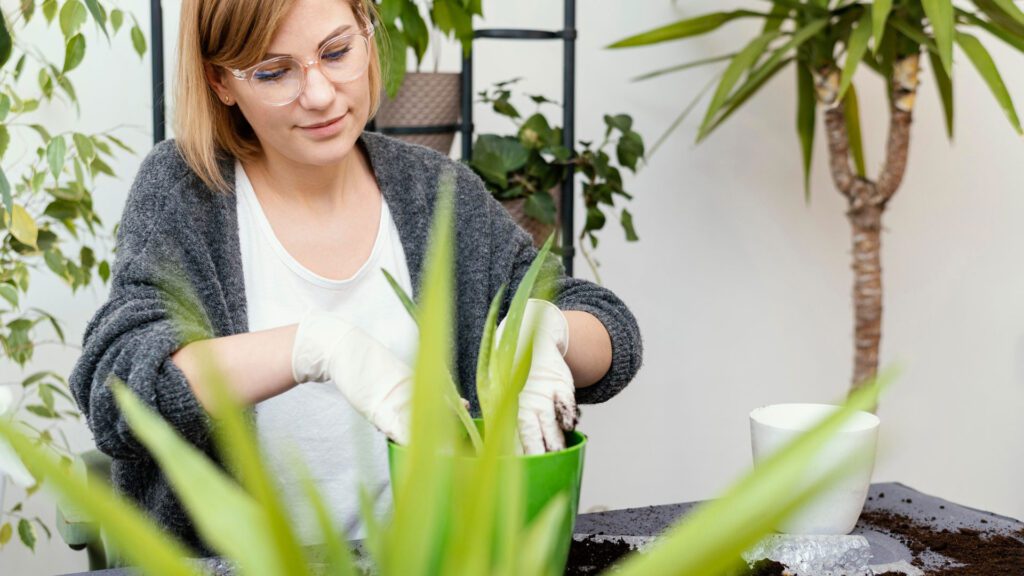 Best Plants For a Swordtail